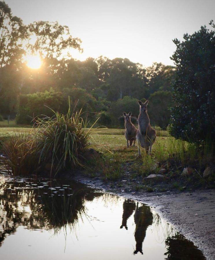 Lake Weyba Cottages Noosa Переджиан Бийч Екстериор снимка