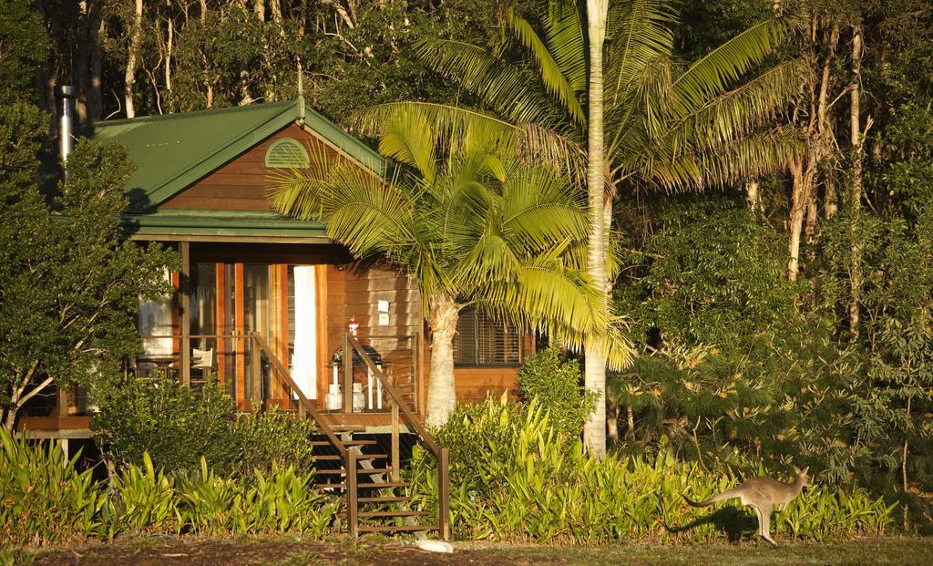 Lake Weyba Cottages Noosa Переджиан Бийч Екстериор снимка
