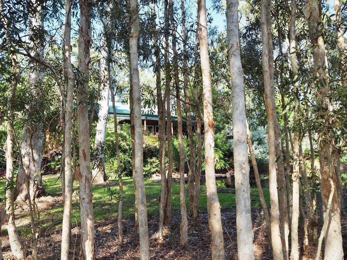 Lake Weyba Cottages Noosa Переджиан Бийч Екстериор снимка